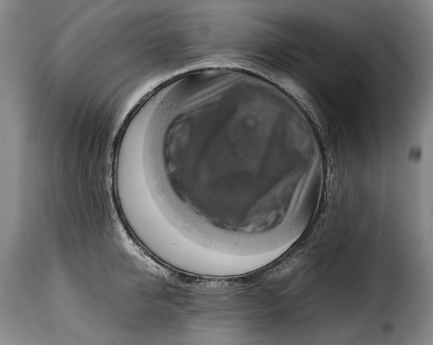 X0000115370950200911241237
