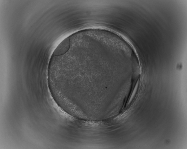 X0000115370951200911241237