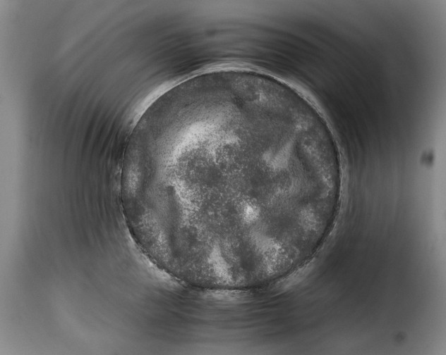 X0000115370953200911241237