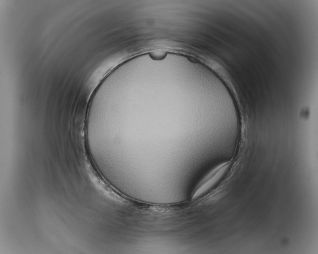 X0000115370954200911241237
