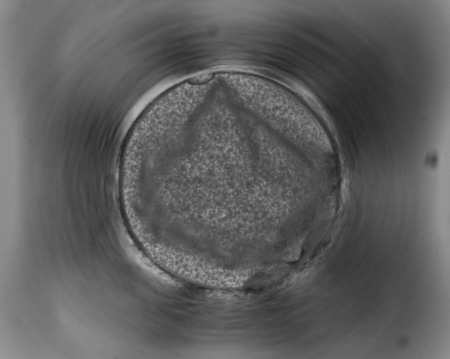 X0000115370955200911241237