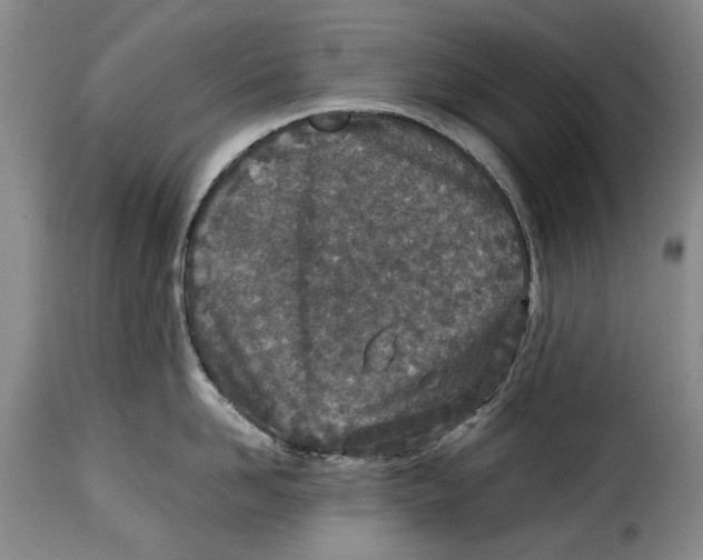 X0000115370958200911241237