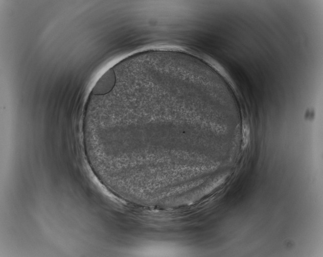 X0000115370959200911241237