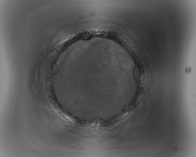 X0000115370961200911241236