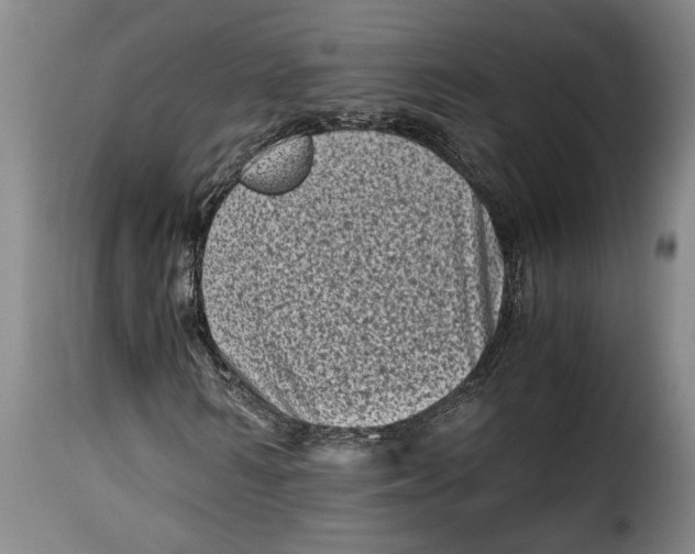 X0000115370962200911241236