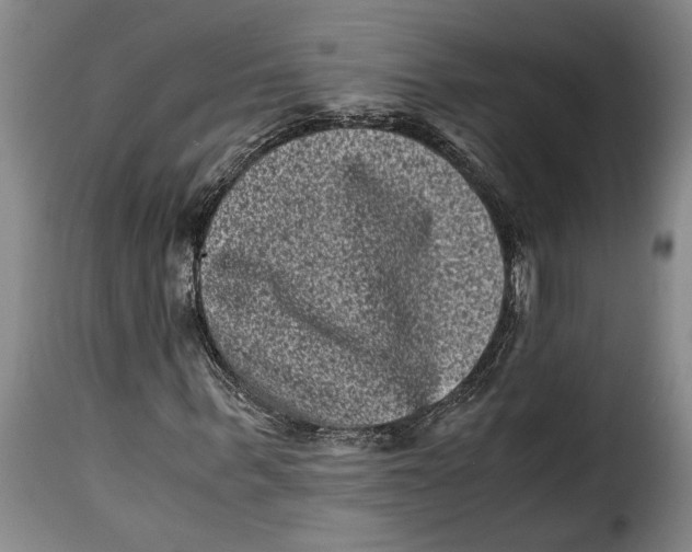 X0000115370963200911241236