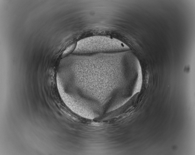 X0000115370964200911241236