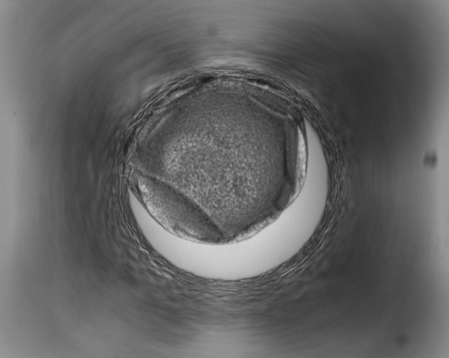 X0000115370965200911241236
