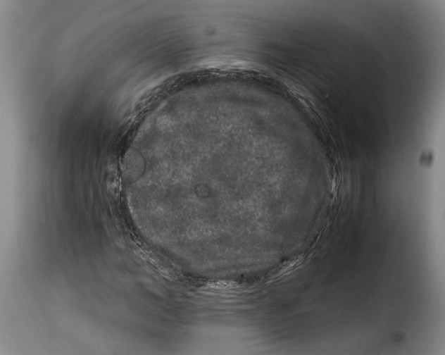 X0000115370966200911241236