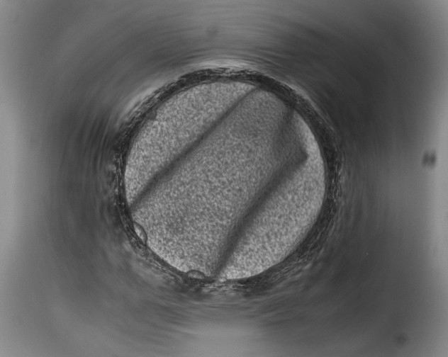 X0000115370967200911241236