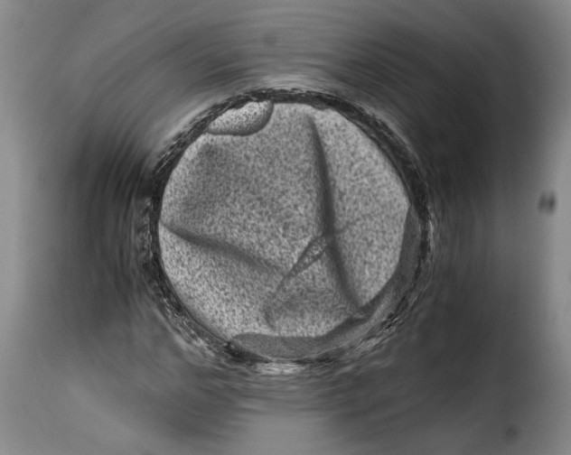 X0000115370968200911241236