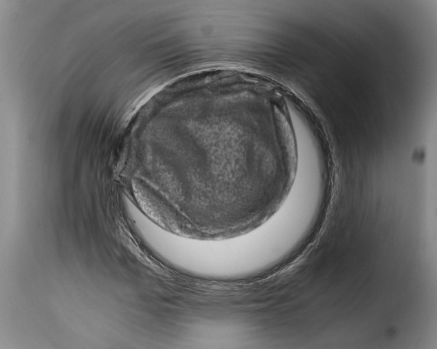 X0000115370969200911241236
