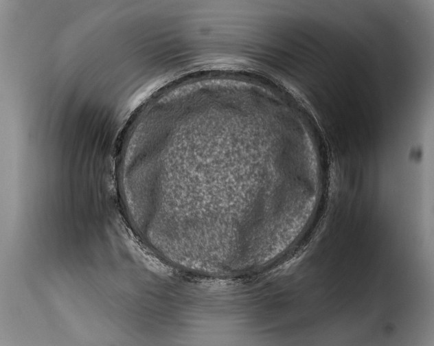 X0000115370970200911241236