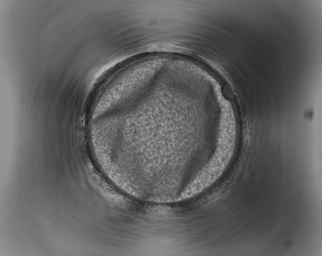X0000115370971200911241236