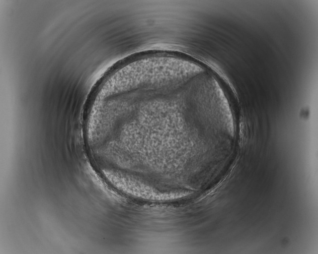 X0000115370972200911241236