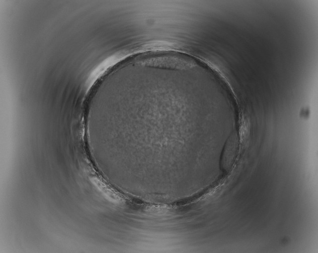 X0000115370973200911241236