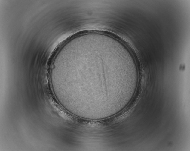 X0000115370974200911241236