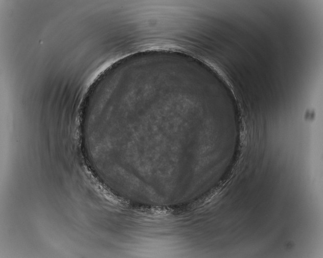 X0000115370975200911241236