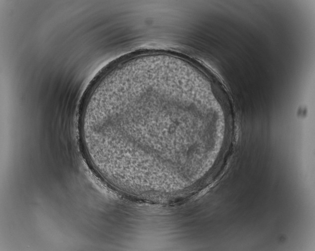 X0000115370976200911241236
