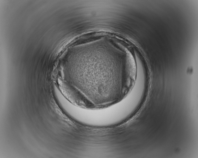 X0000115370977200911241236