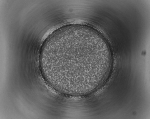 X0000115370978200911241236