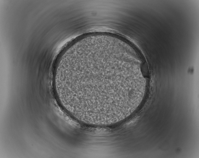 X0000115370979200911241236