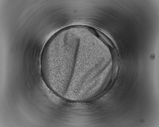 X0000115370980200911241236