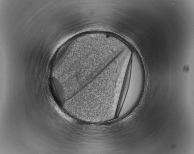 X0000115370981200911241236