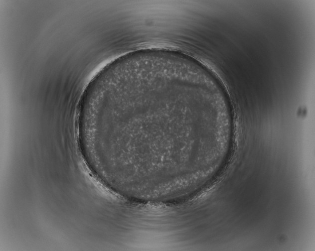 X0000115370983200911241236