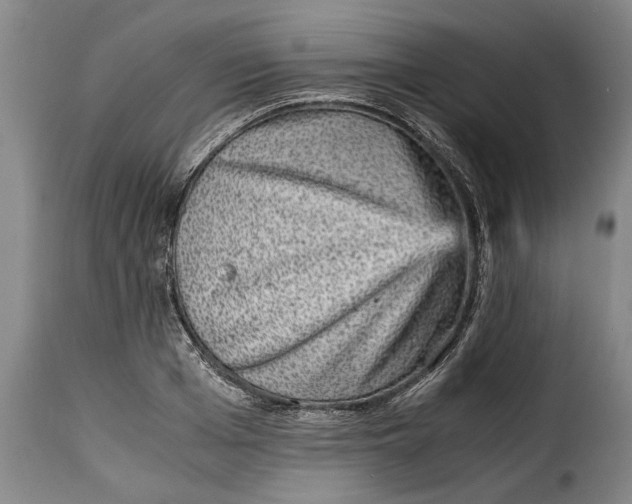 X0000115370985200911241236