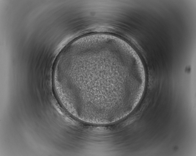 X0000115370986200911241236