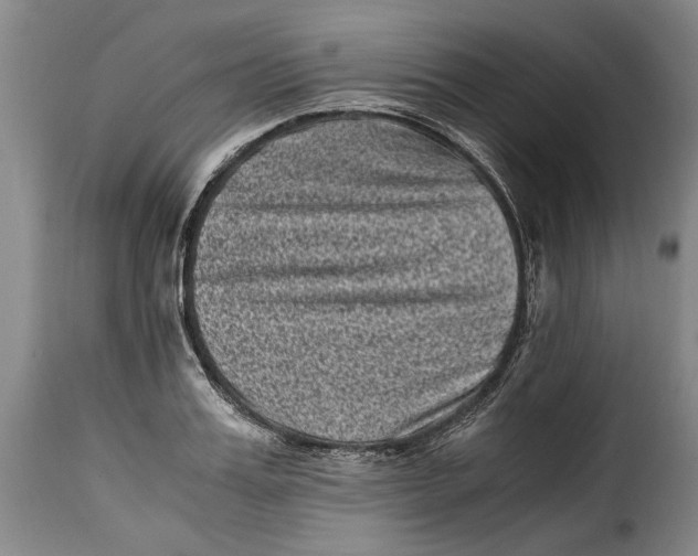 X0000115370987200911241236