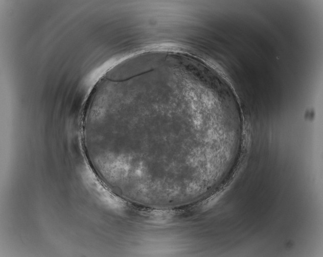X0000115370989200911241236