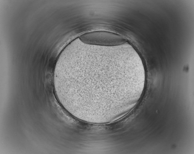 X0000115370993200911241236