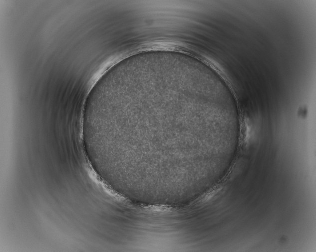 X0000115370994200911241236