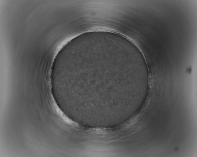 X0000115370995200911241236