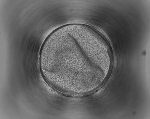 X0000115370996200911241236