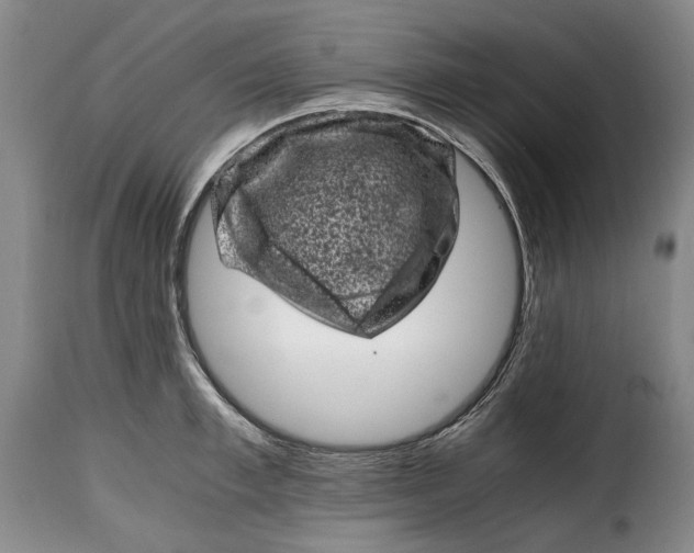 X0000115370997200911241236