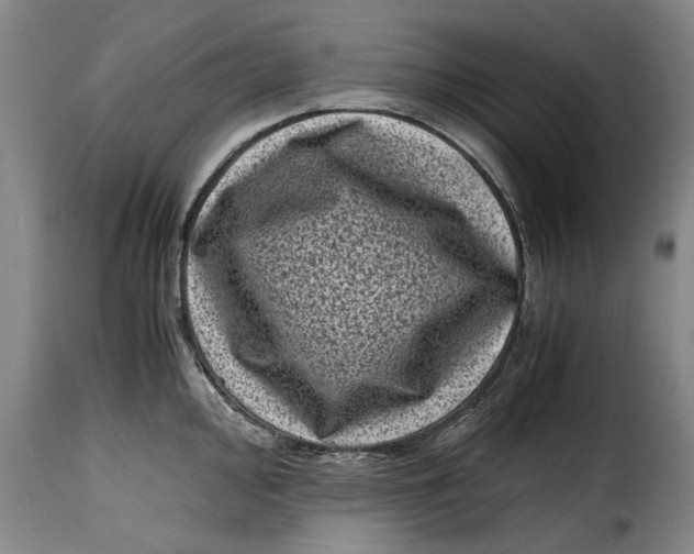 X0000115371000200911241236