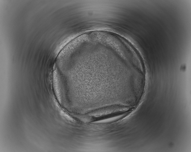 X0000115371001200911241236