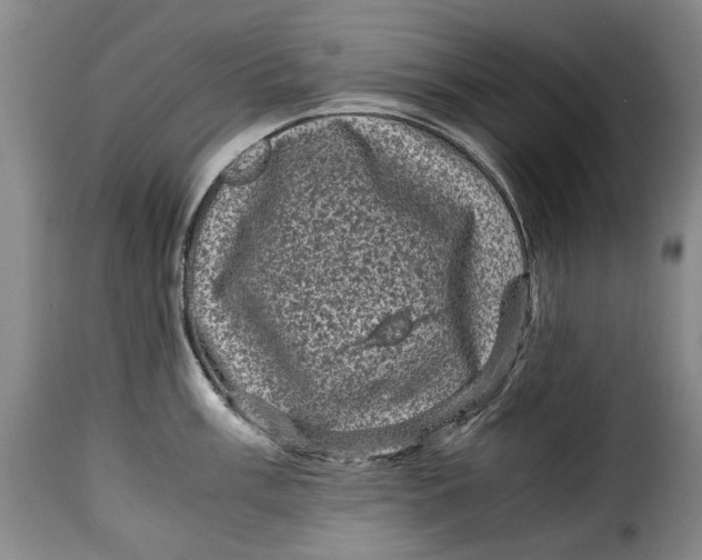 X0000115371003200911241236