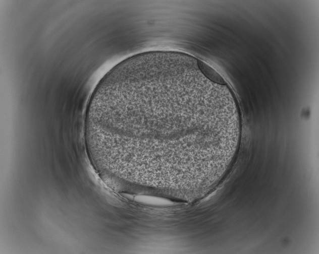 X0000115371004200911241236