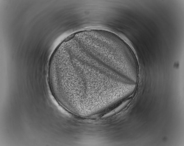 X0000115371005200911241236