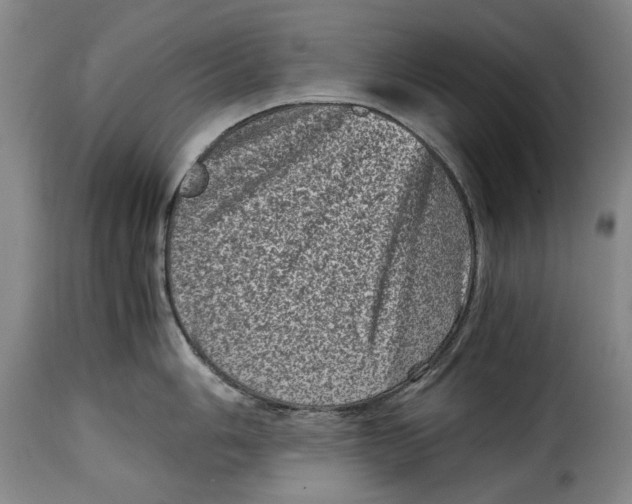 X0000115371006200911241236