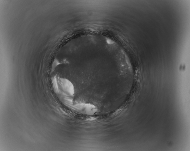 X0000115371009200911241235