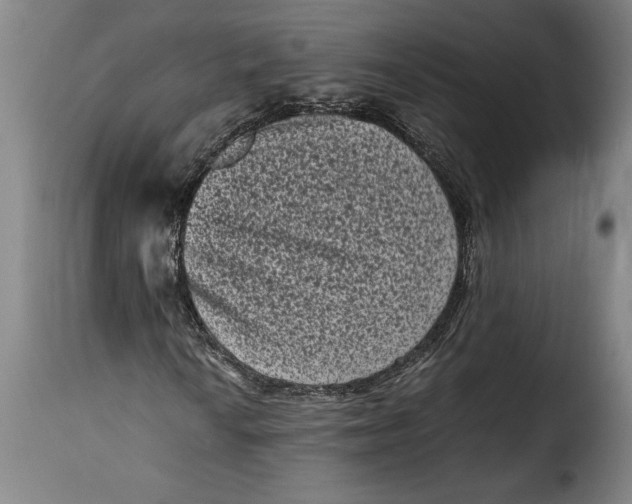 X0000115371010200911241235