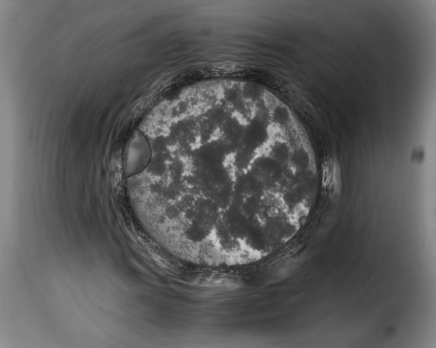 X0000115371011200911241235