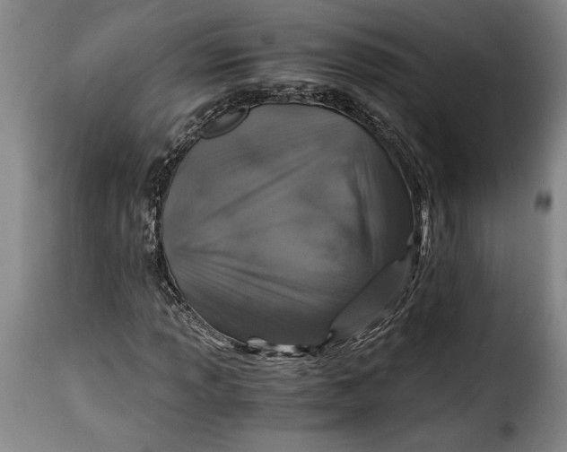X0000115371013200911241235