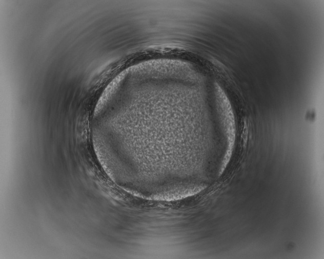 X0000115371014200911241235