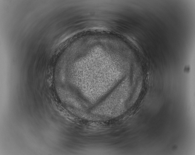 X0000115371015200911241235
